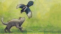 Capa de Milo and the Magpies